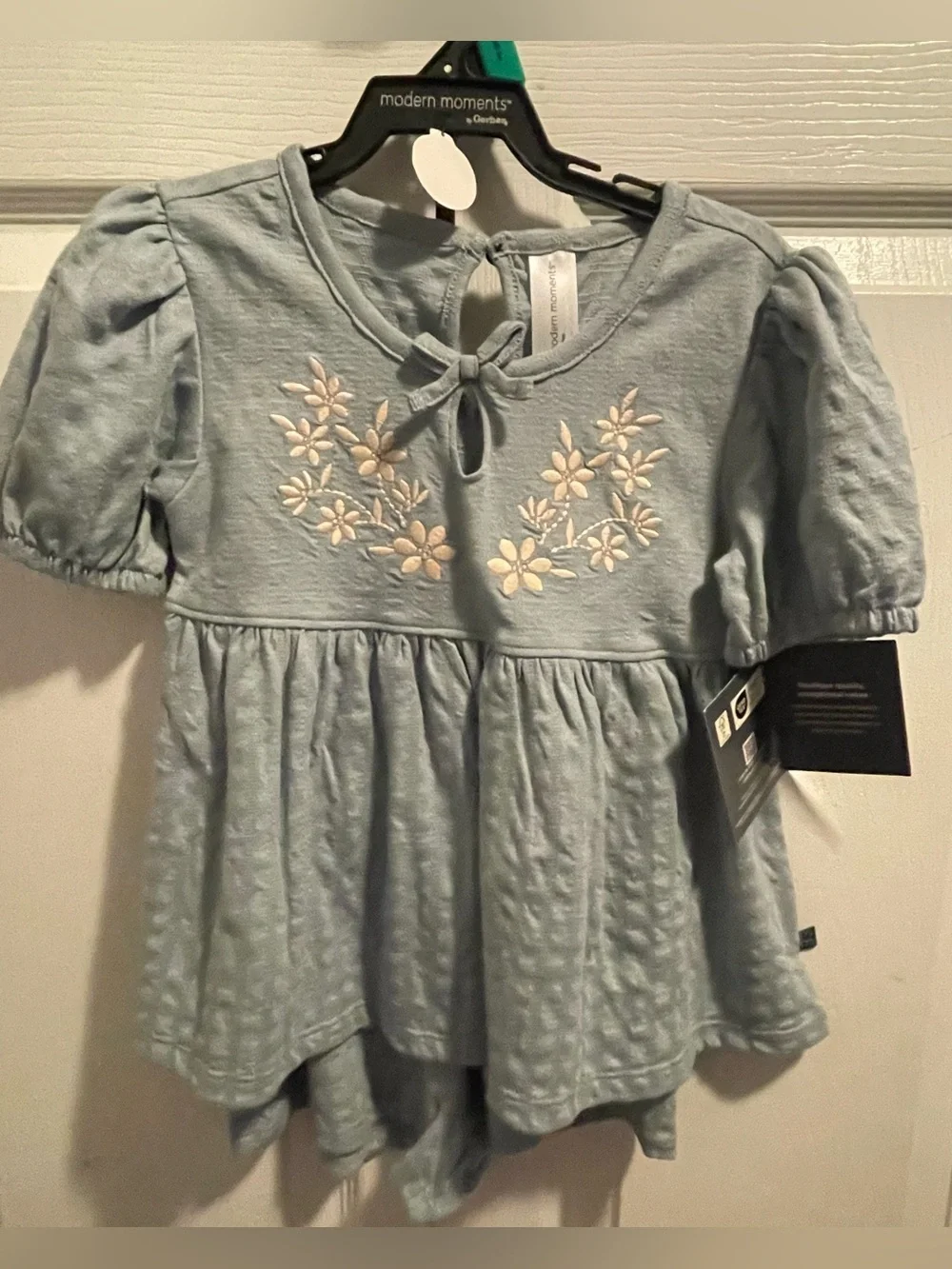 Modern Moments by Gerber Girls 5T Aqua Floral Embroidered 2pc Outfit NWT